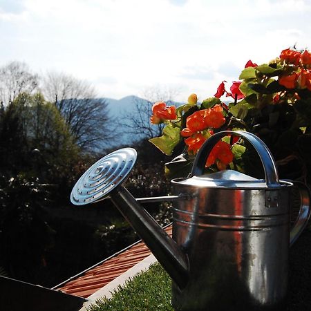 Il Bosso Del Lago Ameno Habitación foto